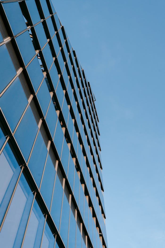 From below facade of contemporary office building with glass wall located against cloudless sky on sunny street in modern building
